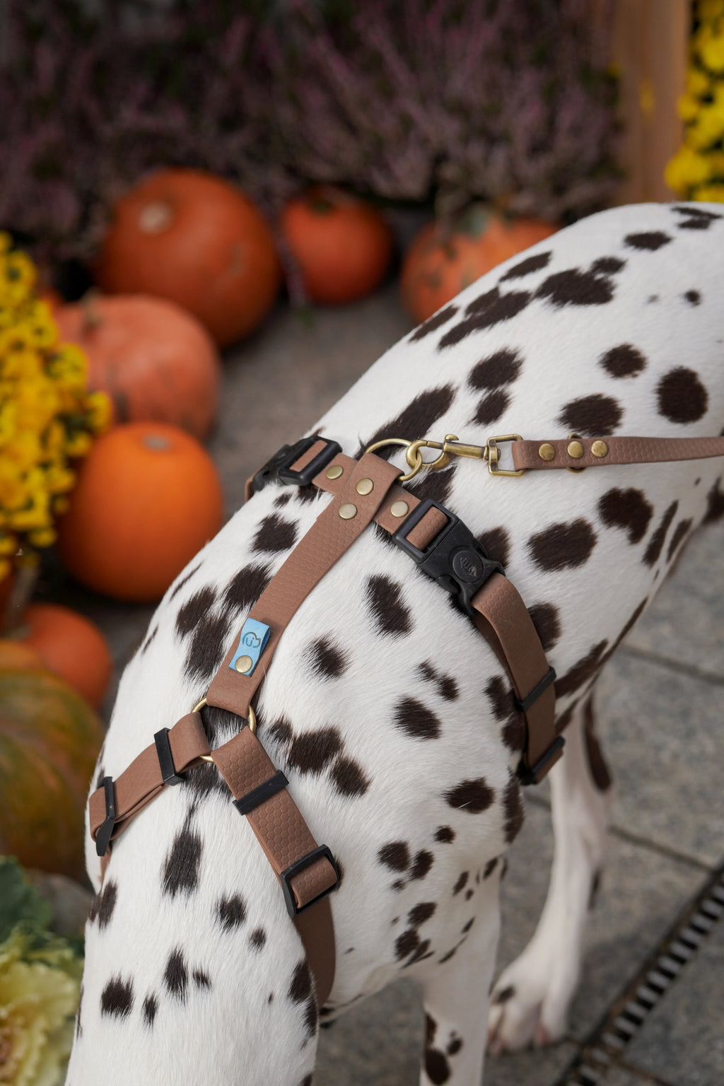 Wodoodporne szelki guard - Psiumpel