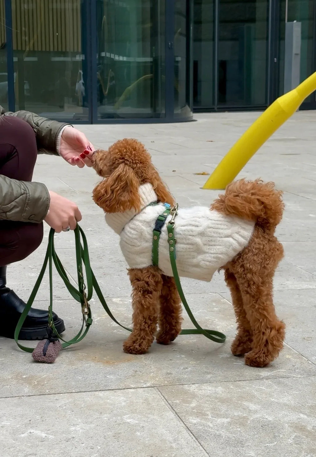 Wodoodporne szelki guard - Psiumpel