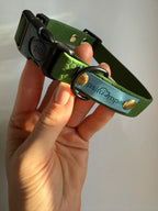 Wodoodporna obroża z klamrą - Psiumpel