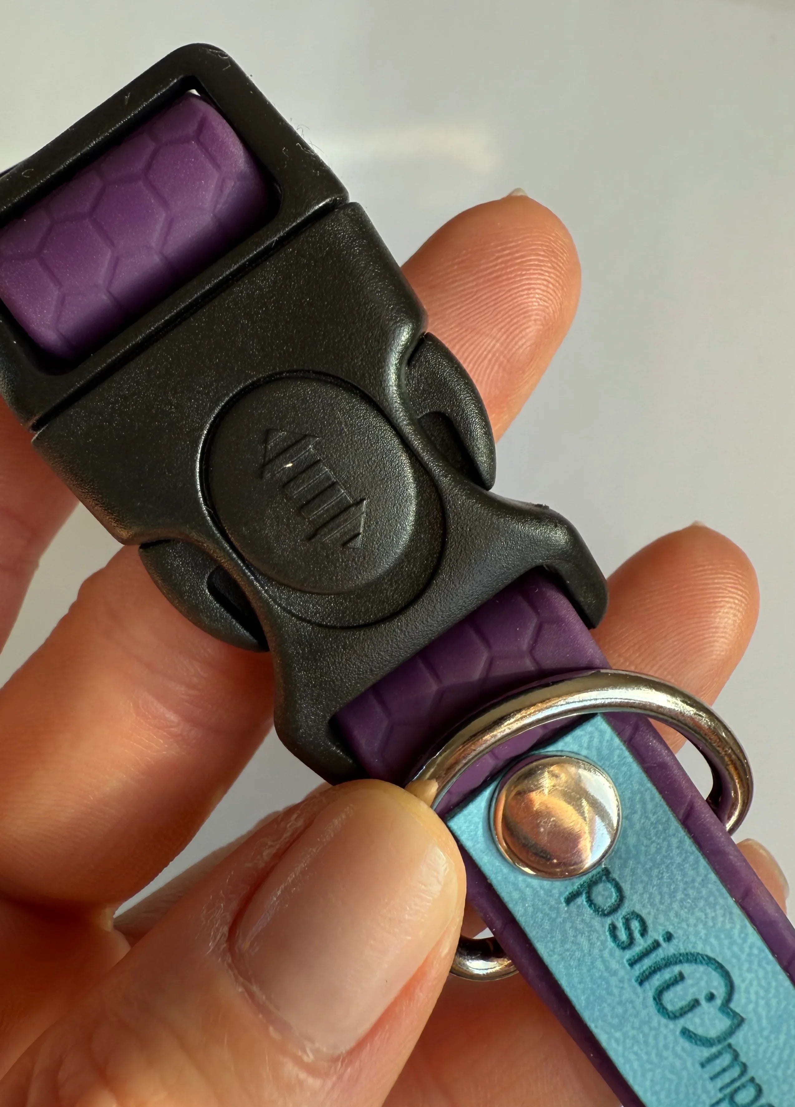 Wodoodporna obroża z klamrą - Psiumpel