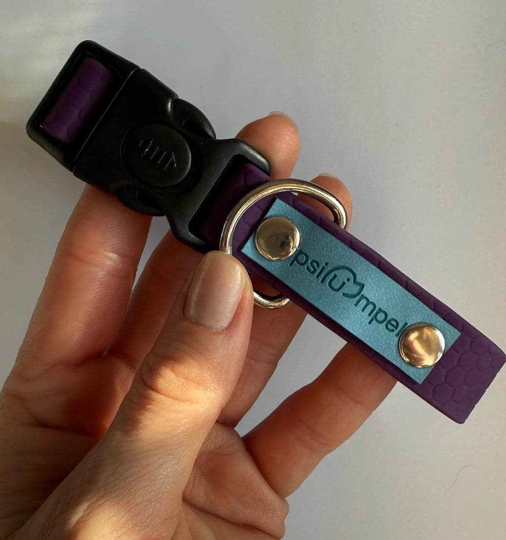 Wodoodporna obroża z klamrą - Psiumpel