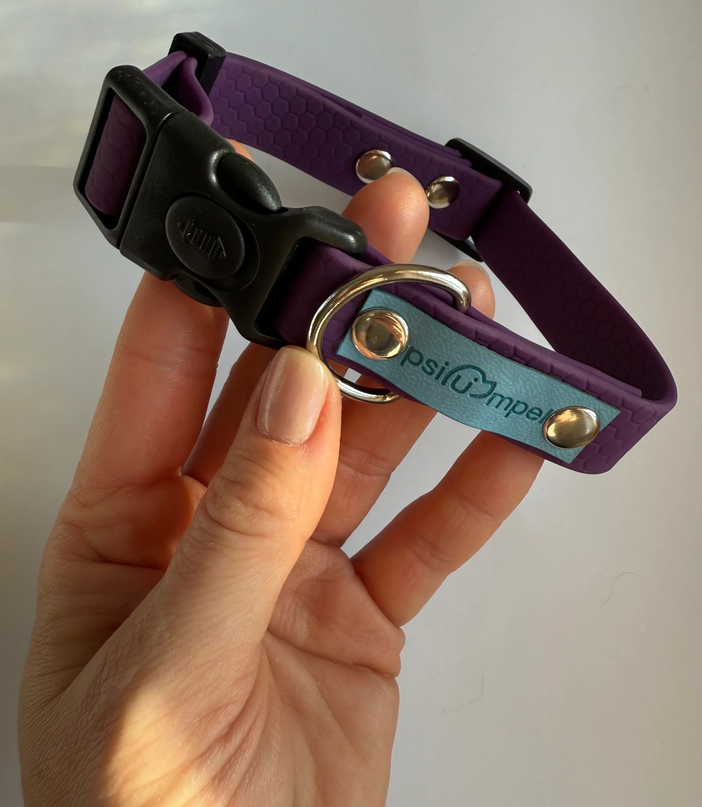 Wodoodporna obroża z klamrą - Psiumpel