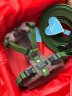 Szelki bezuciskowe guard COZY Psiumpel, dla Psa i Ciebie