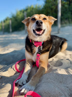 Adresówka z tworzywa