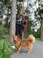 Smycz miejska - Psiumpel