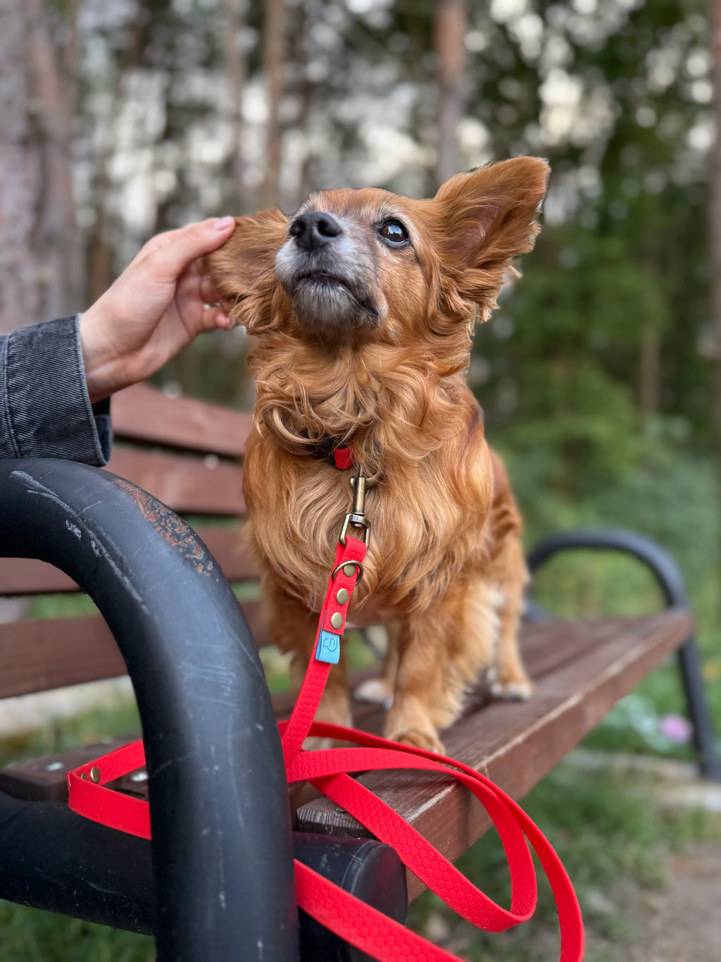 Smycz miejska - Psiumpel