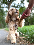 Wodoodporne szelki guard - Psiumpel