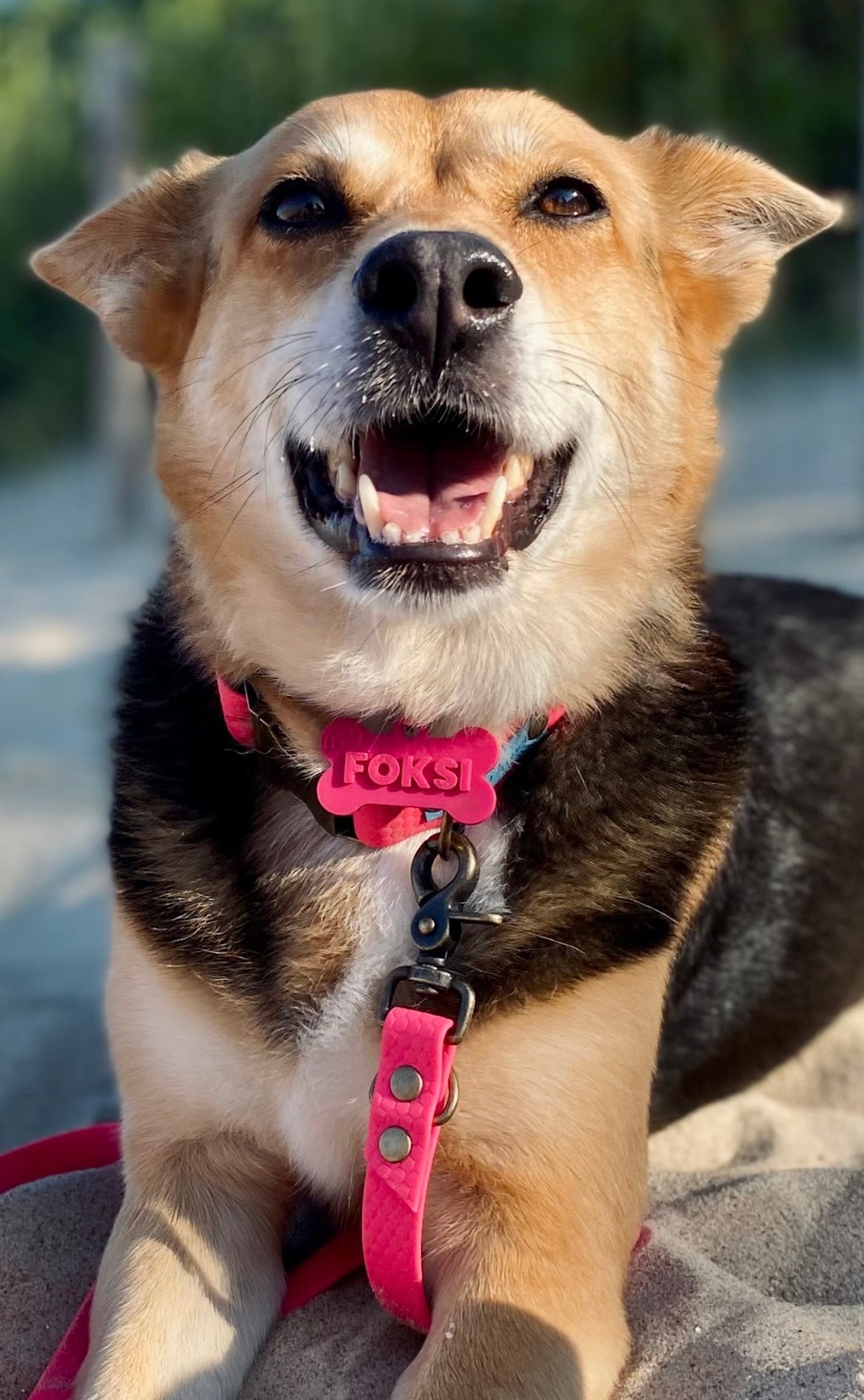 Adresówka z tworzywa