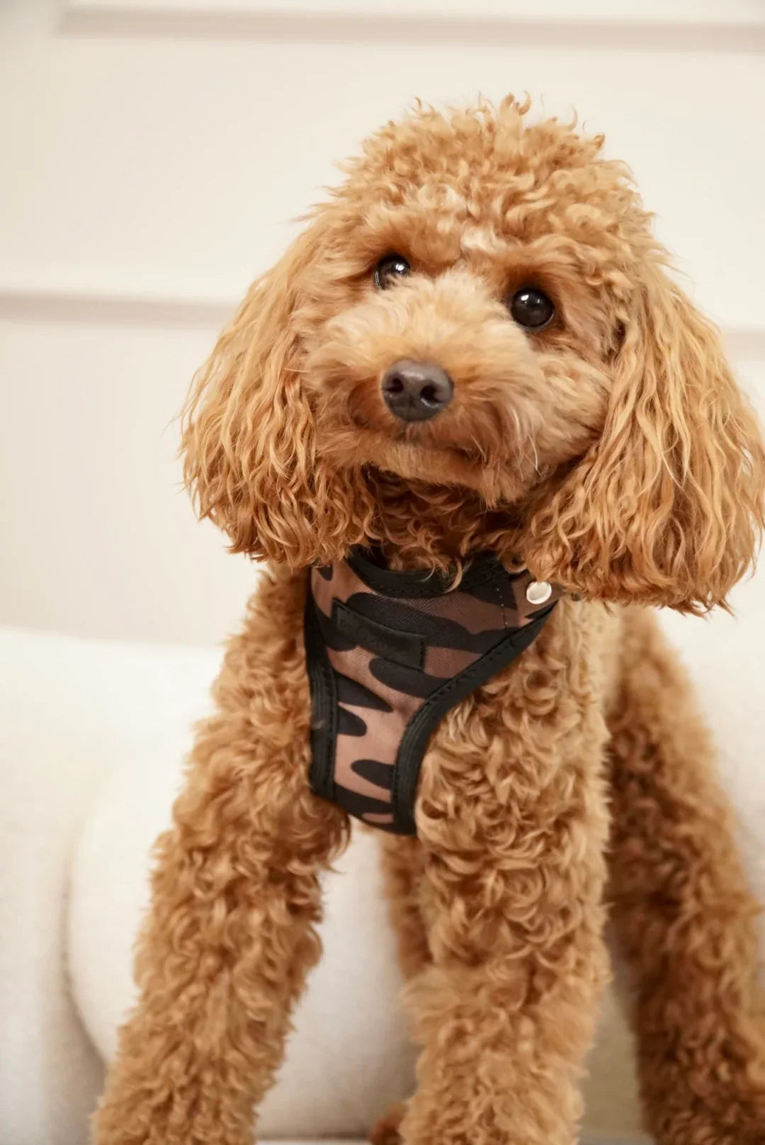 Bezuciskowe szelki guard - WILD - Psiumpel