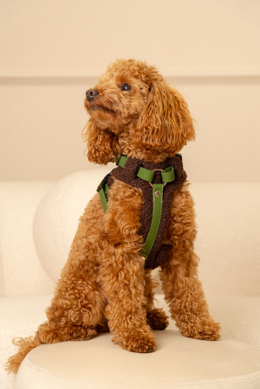 Szelki bezuciskowe guard COZY Psiumpel, dla Psa i Ciebie