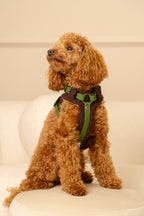 Szelki bezuciskowe guard COZY Psiumpel, dla Psa i Ciebie