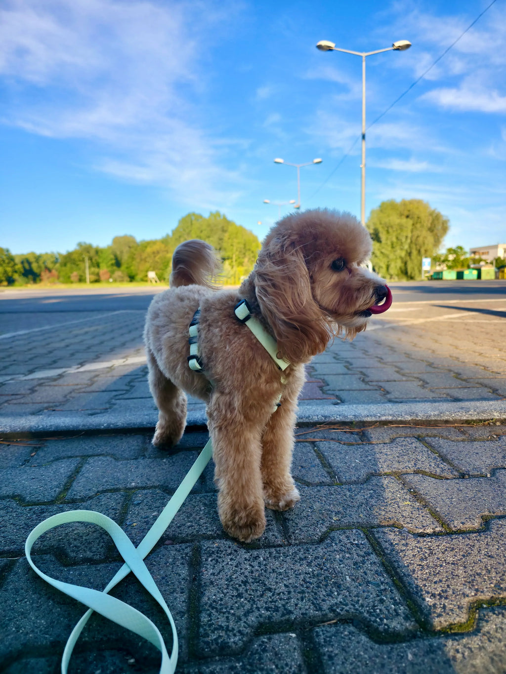 Wodoodporne szelki guard - Psiumpel