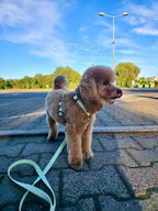 Wodoodporne szelki guard - Psiumpel