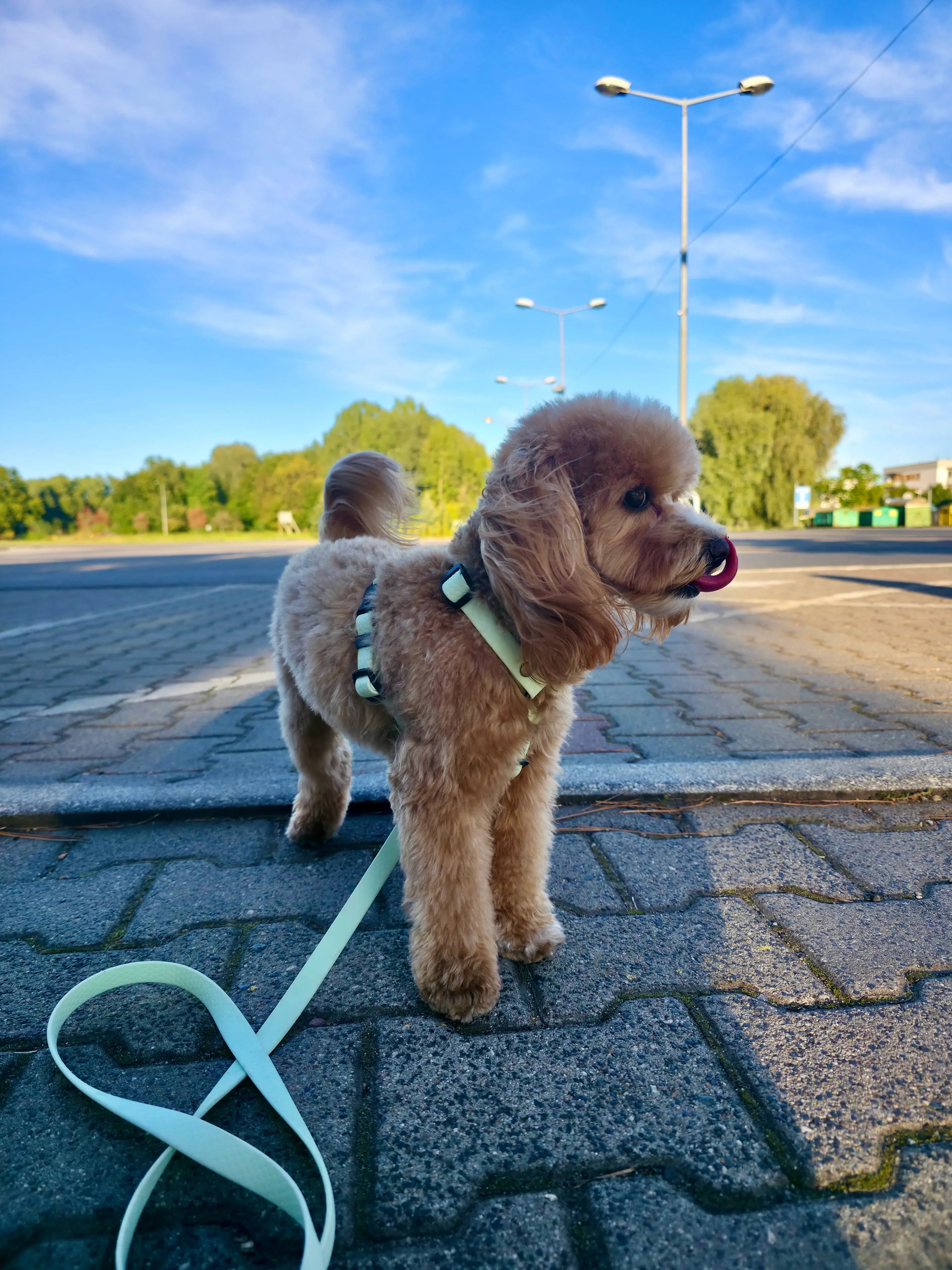 Wodoodporne szelki guard - Psiumpel