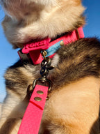 Adresówka z tworzywa