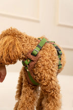 Bezuciskowe szelki guard - COZY - Psiumpel