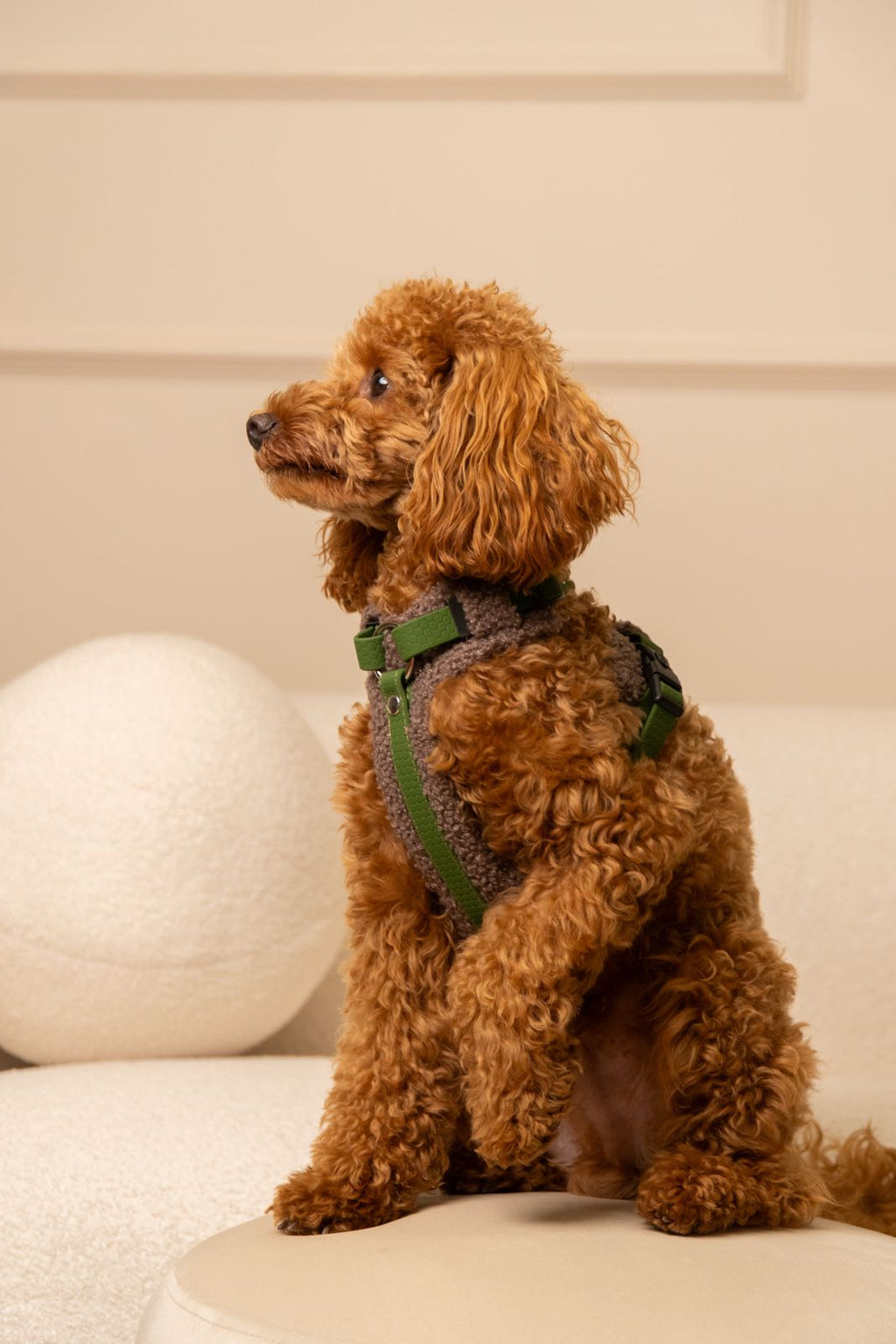 Szelki bezuciskowe guard COZY Psiumpel, dla Psa i Ciebie