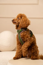 Szelki bezuciskowe guard COZY Psiumpel, dla Psa i Ciebie