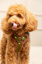 Szelki bezuciskowe guard COZY Psiumpel, dla Psa i Ciebie