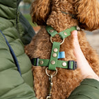 Szelki wodoodporne typu guard Psiumpel, dla Psa i Ciebie