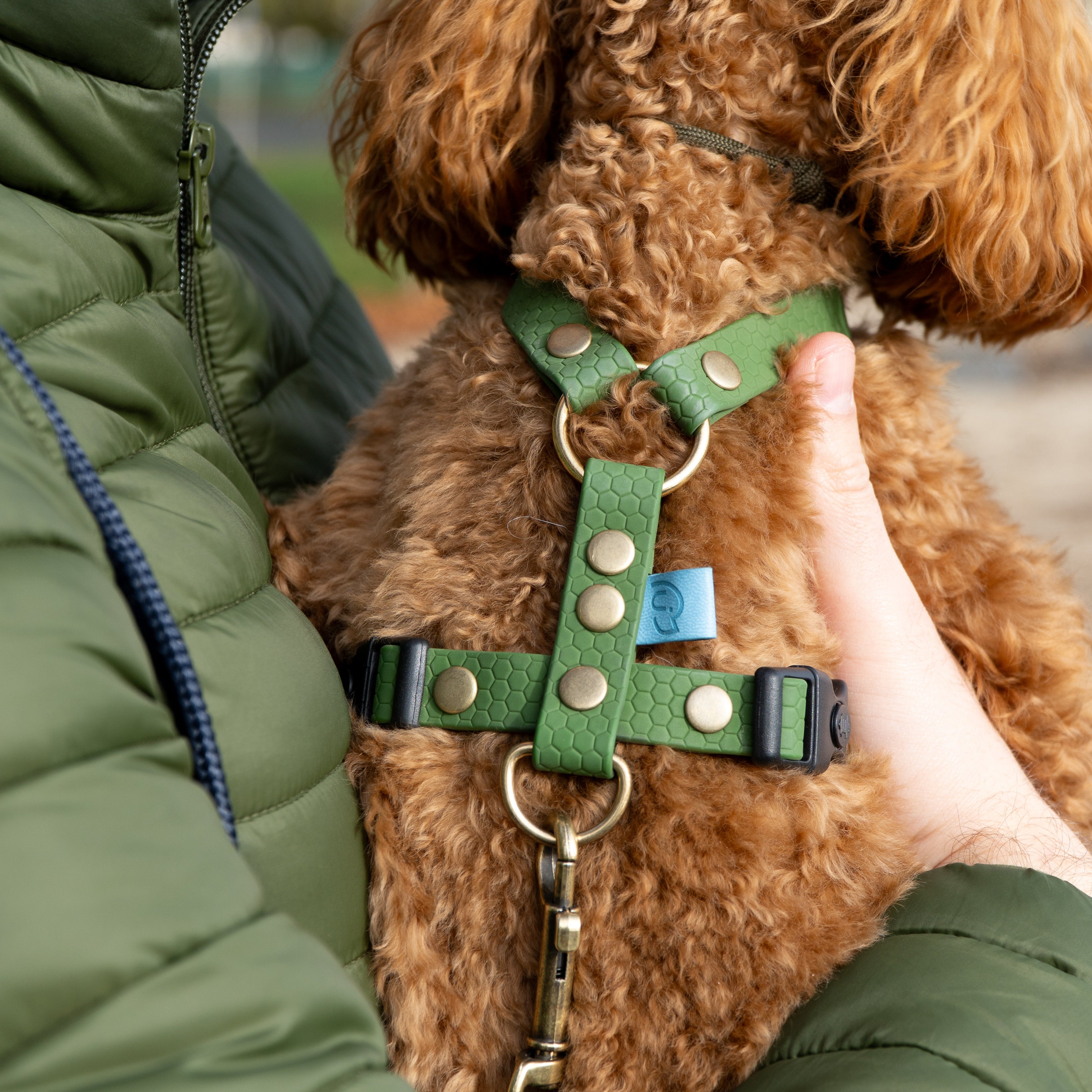 Szelki wodoodporne typu guard Psiumpel, dla Psa i Ciebie